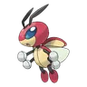 Coxyclaque