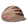 Marcacrin