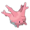 Corayon