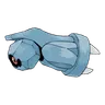 Terhal
