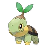 Tortipouss