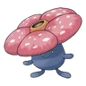 Rafflesia