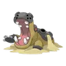 Hippodocus