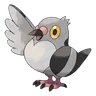 Poichigeon