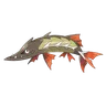 Hastacuda